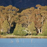 THEEWATERSKLOOF DAM BASKS IN THE LATE AFTERNOON LIGHT - Villiersdorp Tourism - Xplorioâ„¢ Villiersdorp